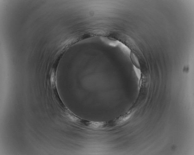 X0000096670143200802261501