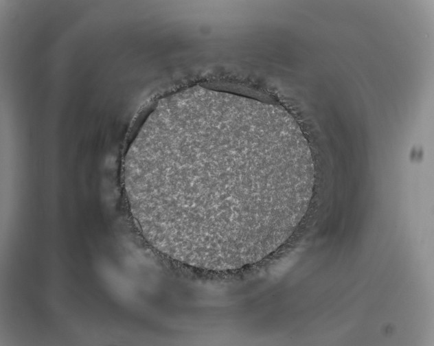 X0000096670144200802261501