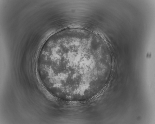 X0000096670145200802261500