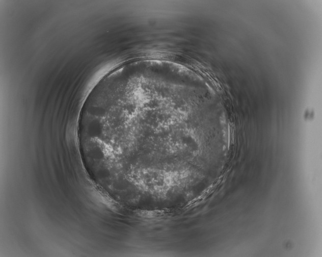 X0000096670147200802261500