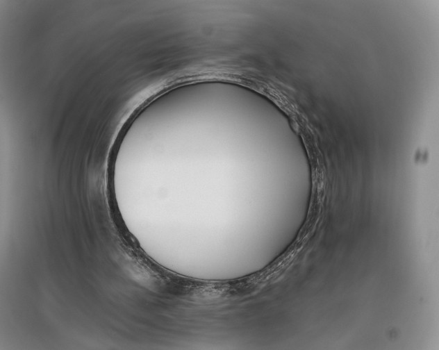 X0000096670148200802261500