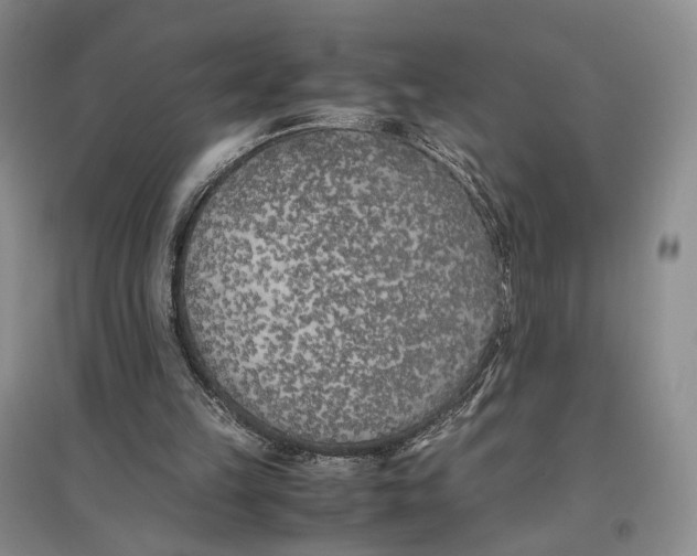 X0000096670149200802261500