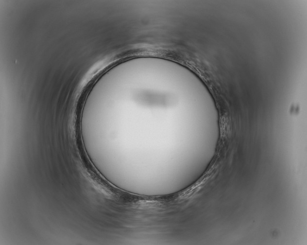 X0000096670150200802261500