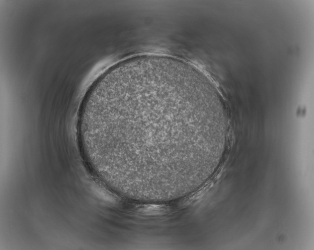X0000096670151200802261500