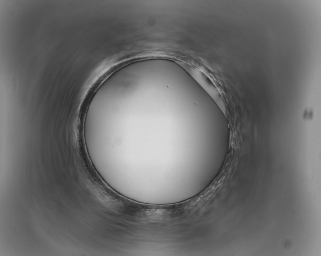 X0000096670152200802261500