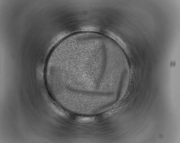 X0000096670155200802261500