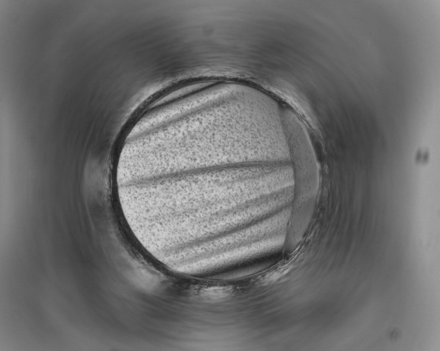 X0000096670156200802261500