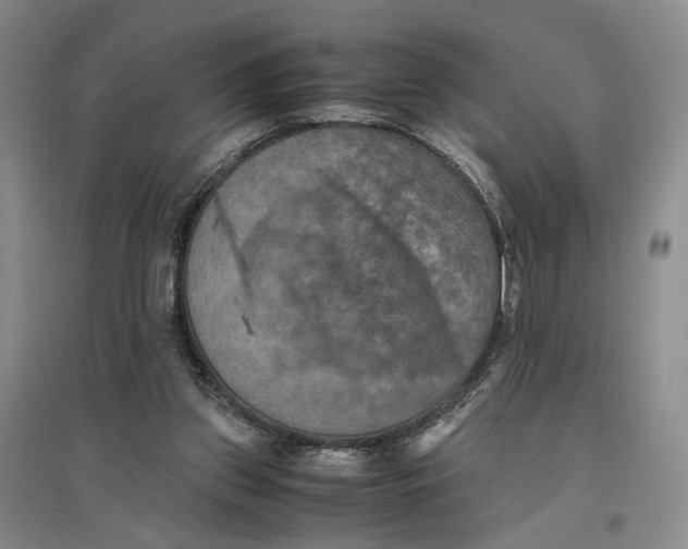X0000096670157200802261500