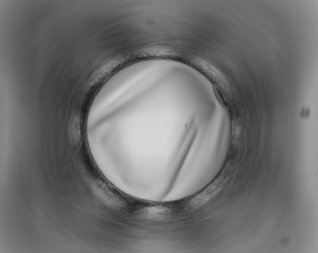 X0000096670158200802261500