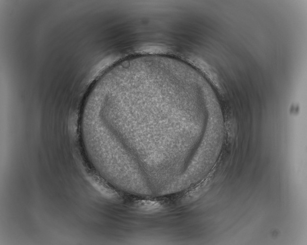 X0000096670159200802261500