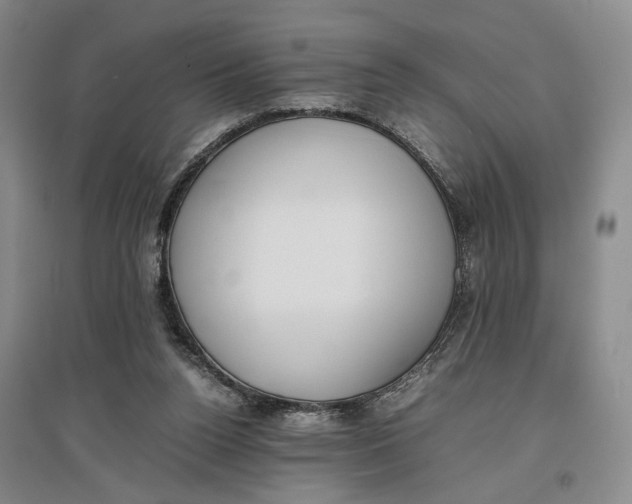 X0000096670160200802261501