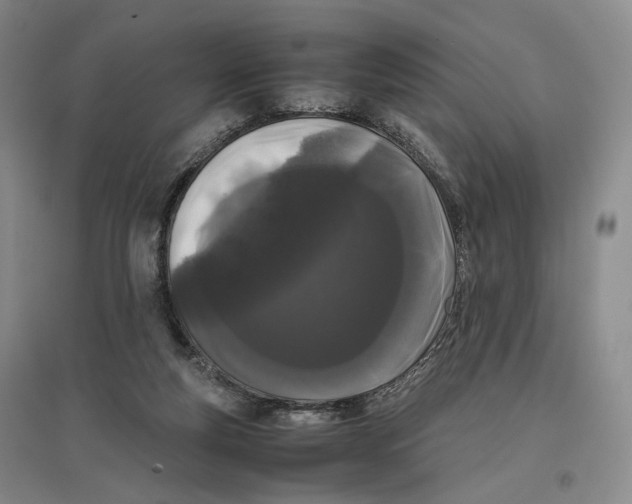 X0000096670163200802261501