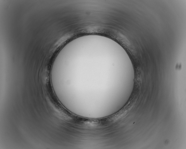 X0000096670164200802261501