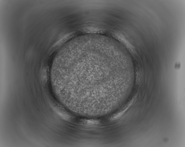 X0000096670165200802261501