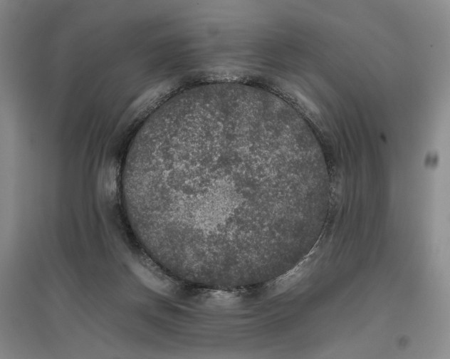X0000096670166200802261501