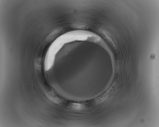X0000096670167200802261501