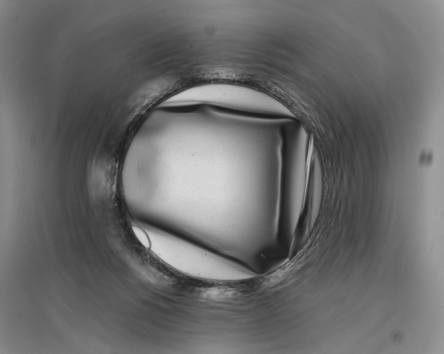 X0000096670168200802261501