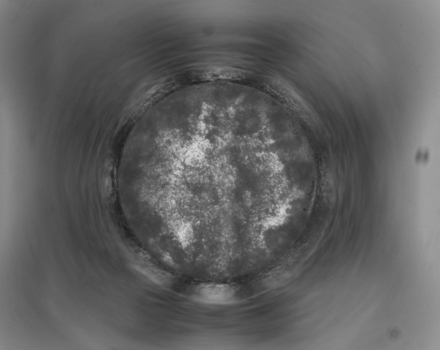 X0000096670169200802261501