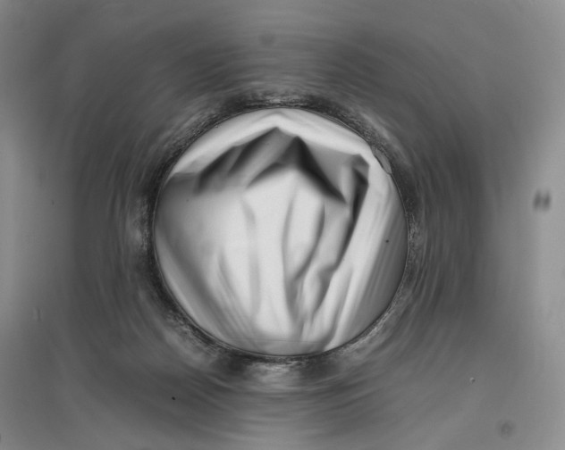 X0000096670170200802261501