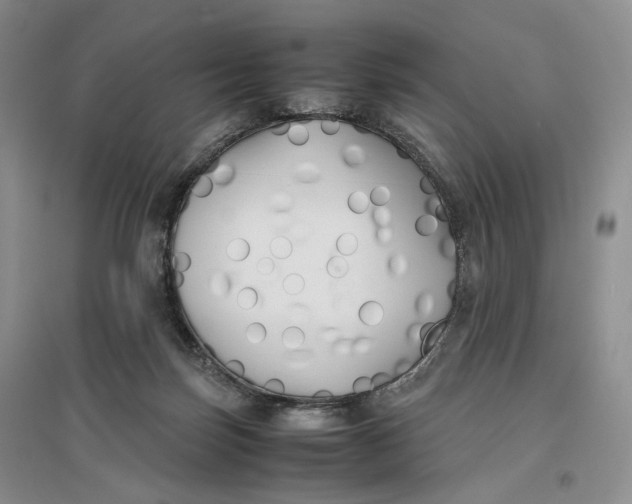 X0000096670171200802261501