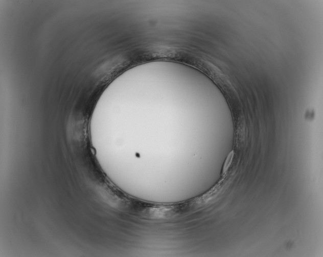 X0000096670172200802261501