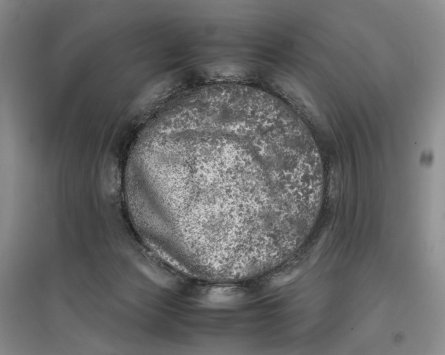 X0000096670173200802261501