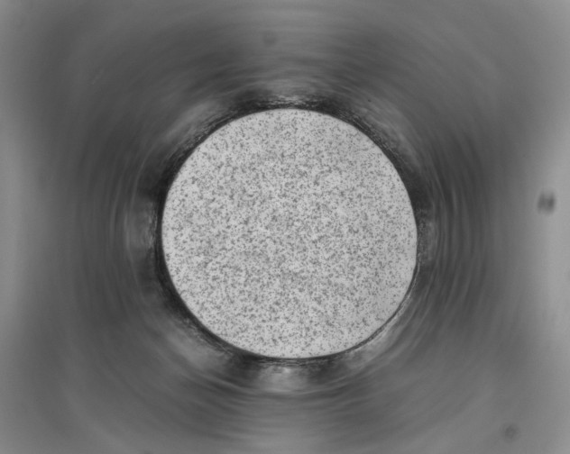 X0000096670174200802261501