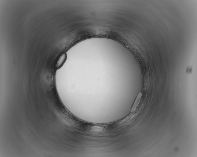 X0000096670176200802261501