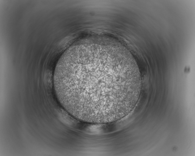 X0000096670178200802261501
