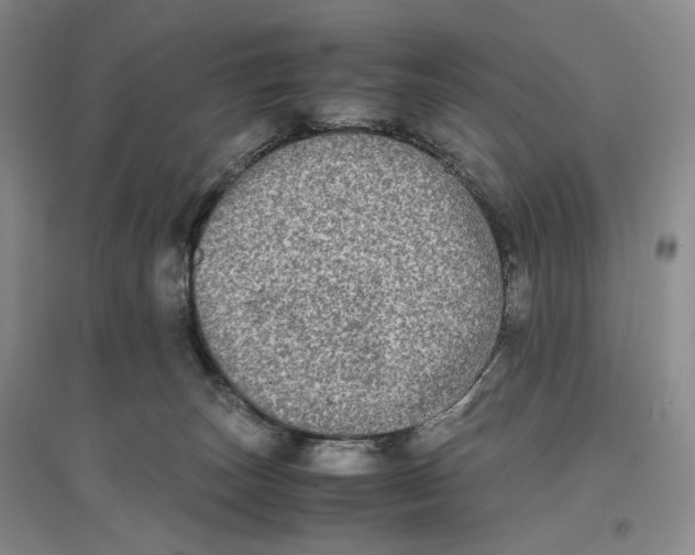 X0000096670179200802261501