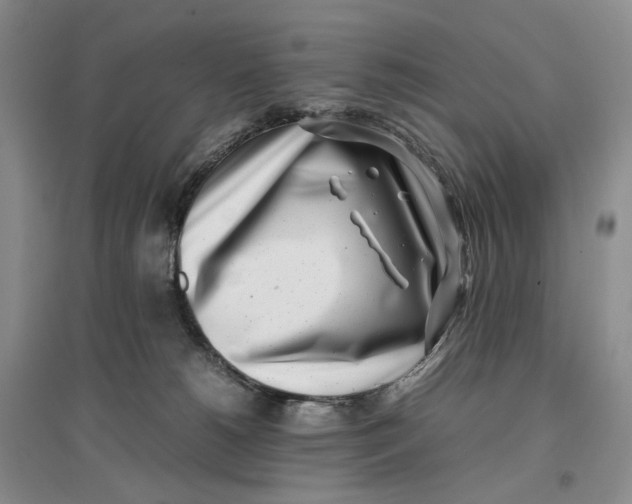 X0000096670180200802261501