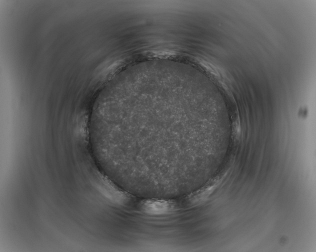 X0000096670181200802261501