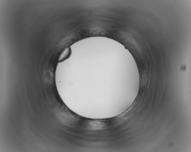 X0000096670183200802261501