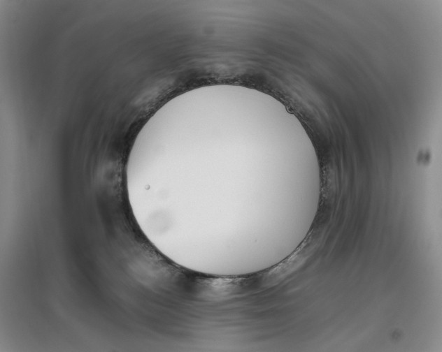X0000096670184200802261501