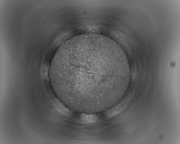X0000096670185200802261501