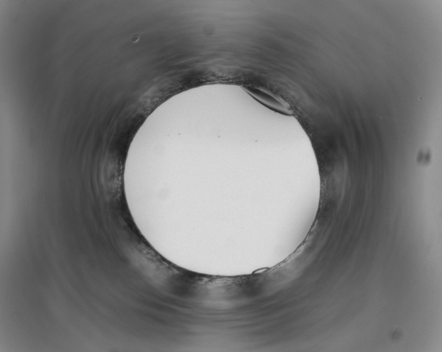 X0000096670186200802261501
