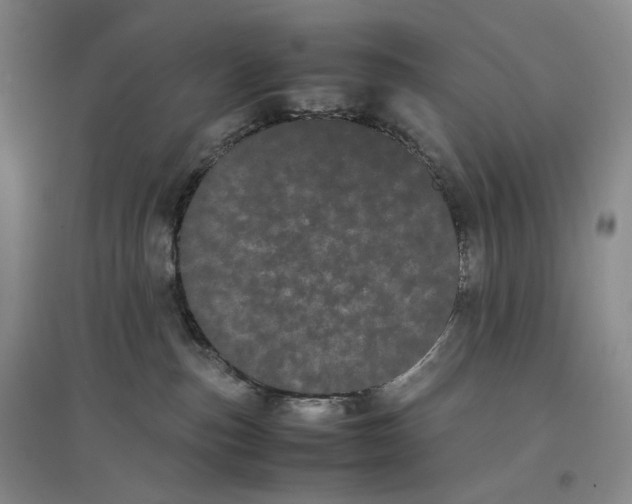 X0000096670187200802261501