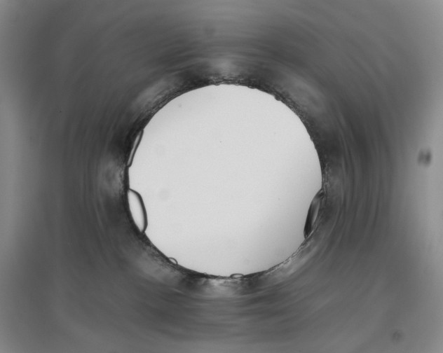 X0000096670188200802261501