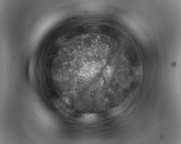 X0000096670189200802261501