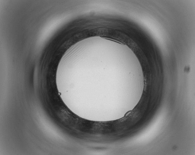 X0000096670190200802261501