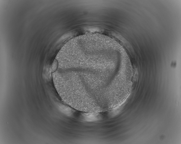 X0000096670191200802261501