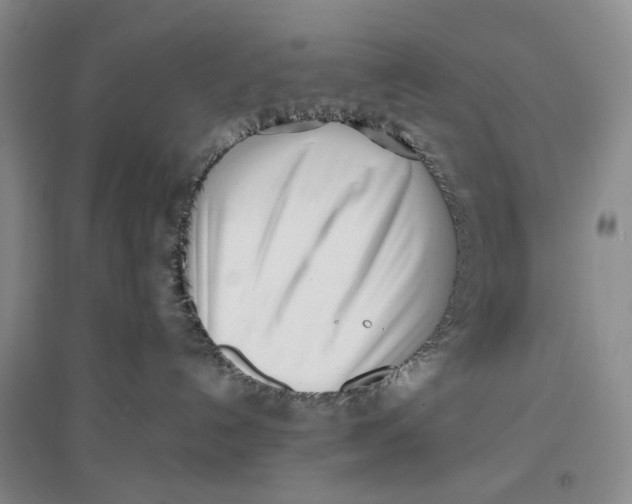 X0000096670192200802261501