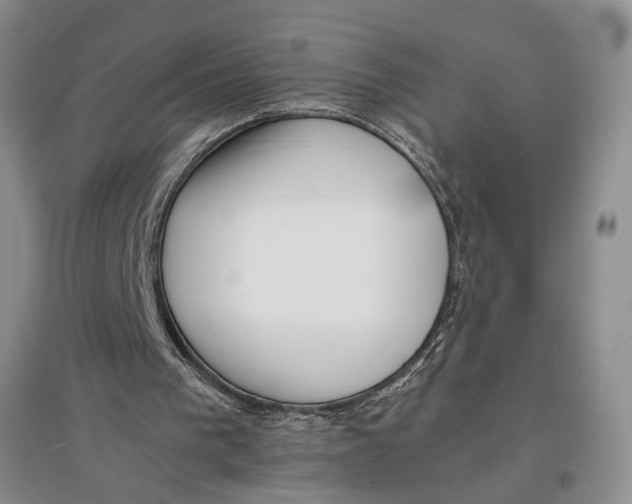 X0000096670193200802261500