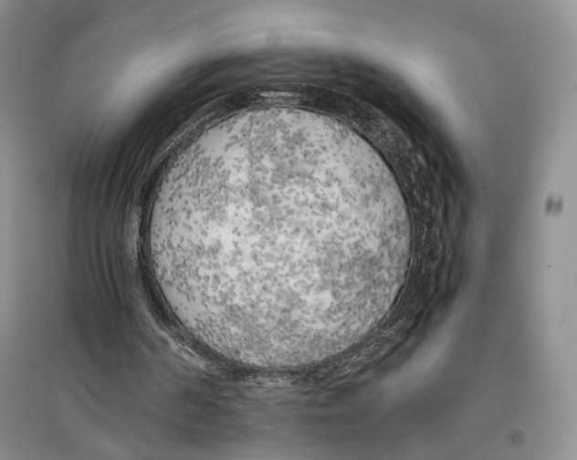 X0000096670194200802261500