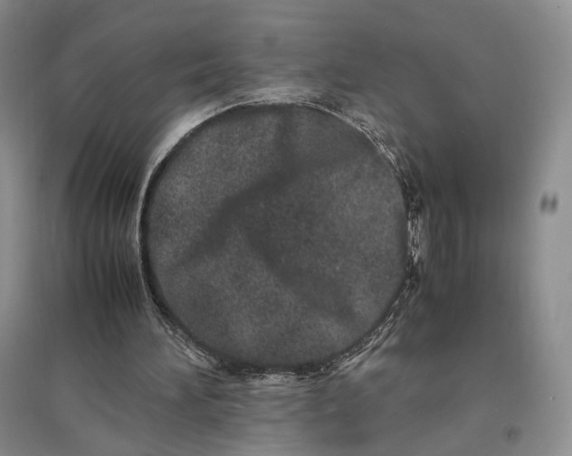 X0000096670196200802261500