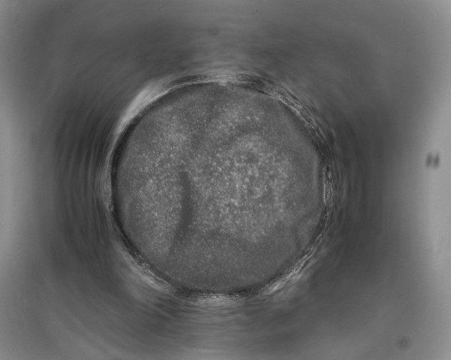 X0000096670198200802261500