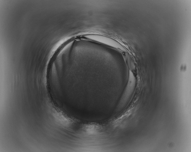 X0000096670200200802261500