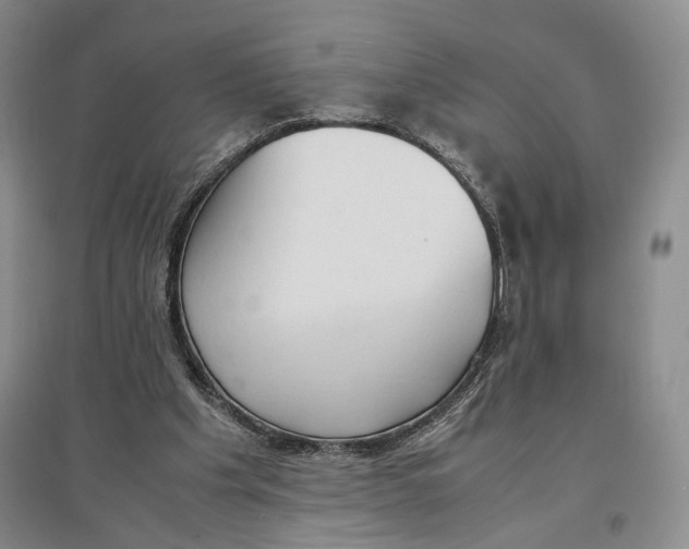 X0000096670201200802261500