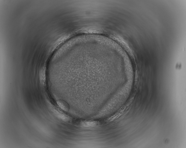 X0000096670202200802261500