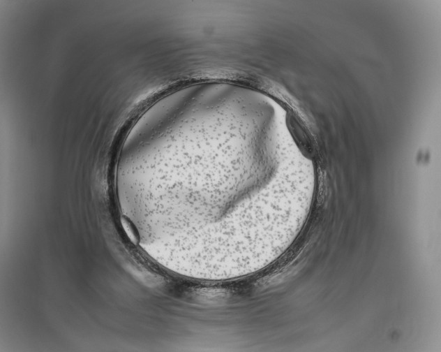X0000096670203200802261500